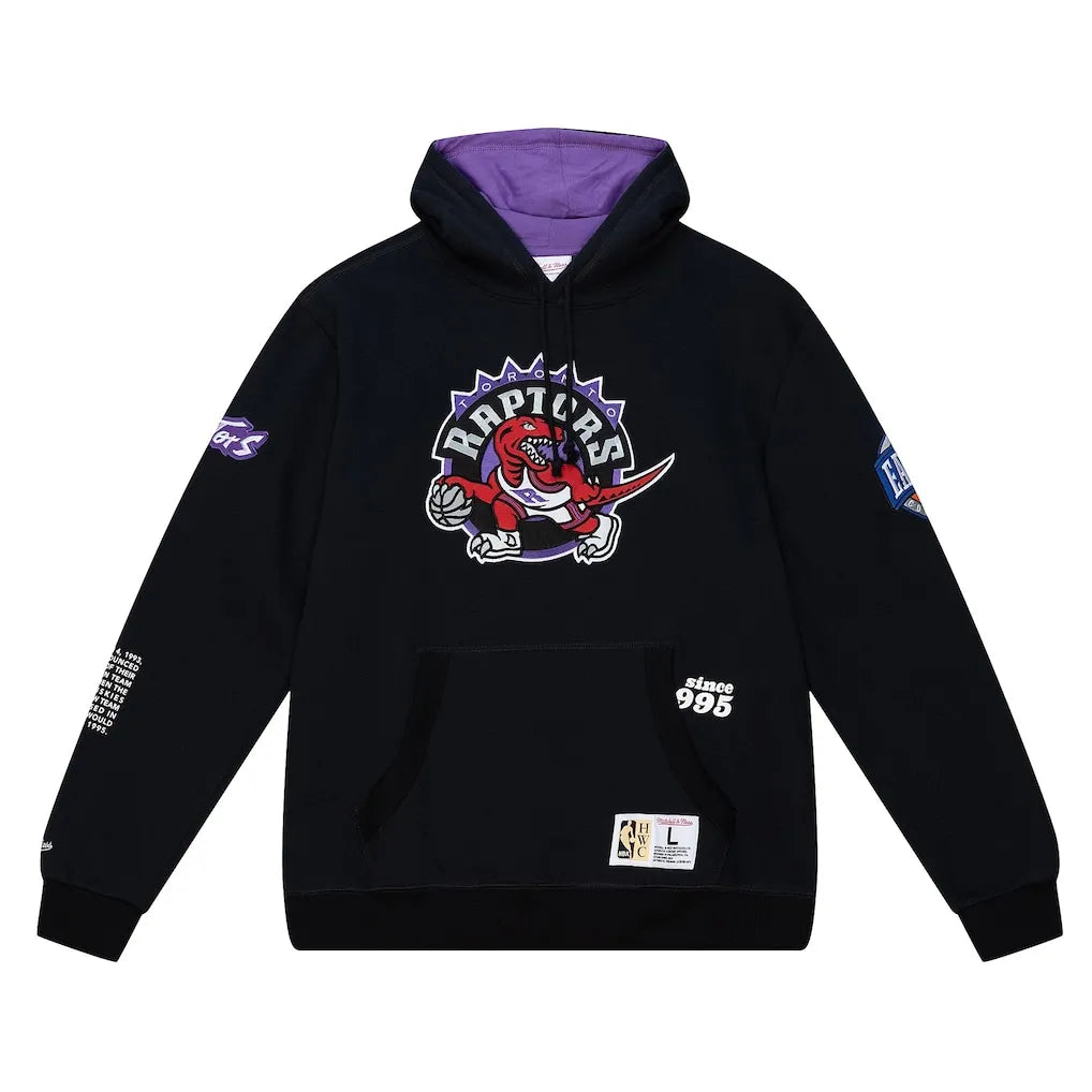 Toronto Raptors Pullover Hoodie