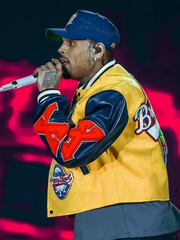 Chris Brown Breezy Bowl XX Tour Bomber Jacket