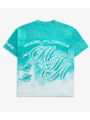 Miami Dolphins jumbo print tee back view flat lay.
